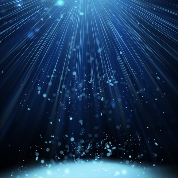 Meet your Posher, Marie - Picture 2 of 2